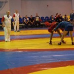 DSC00529