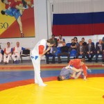 DSC01133