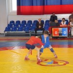 DSC01225