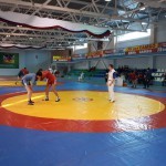 IMG-20180210-WA0017