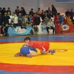 DSC02177