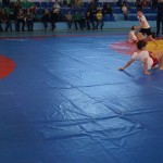 DSC02448