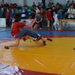 DSC02803
