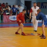 DSC02910