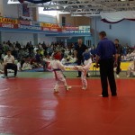 DSC03293