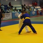 DSC04216