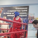 IMG-20210517-WA0061