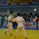6ed1ea_e3ca1ed3520a4bcca3be2f56e8e3a953