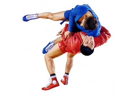 sambo
