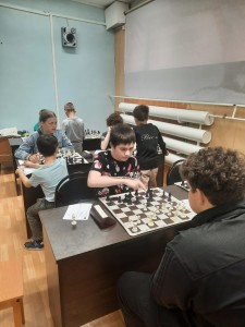 Шахматы
